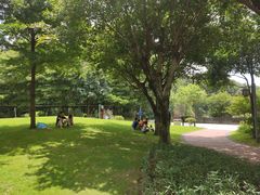 -王借岗森林公园