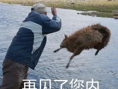 -禾绿寿司(星光68广场店)