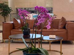 -苏州香山国际大酒店