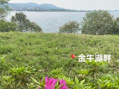 -南京金牛湖风景区