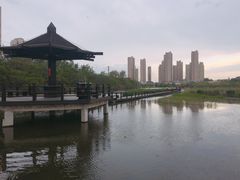 -前关湿地公园