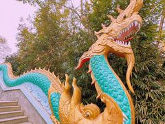 -西双版纳勐泐文化旅游区