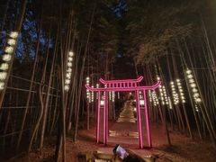 -杭州黄龙洞