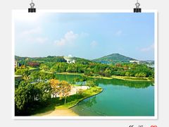 -佘山世茂艾美·御珍轩中餐厅