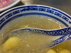 -大中鱼翅 Taitong Shark Fin