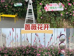 -南京国际青年文化中心