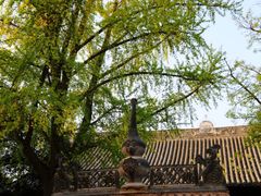 -洛阳白马寺