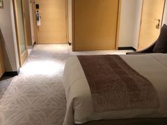 -佛山岭南天地康得思酒店