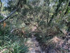 -燕晗山郊野公园
