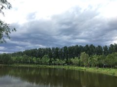 -东郊湿地公园