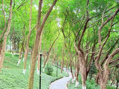 -龙头寺公园