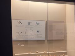 -安徽省地质博物馆