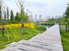 -三垟湿地