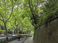 -杭州黄龙洞