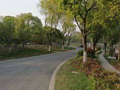 -昆山城市生态森林公园