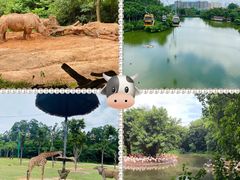 -广州长隆野生动物世界