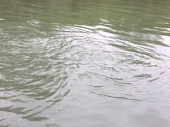 -九曲溪漂流