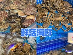 -乔哥铭洋海鲜自助(皇城恒隆广场店)