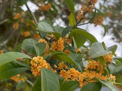 -上海植物园-4号门售票处