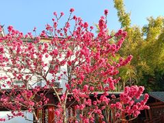 -香麒园·过桥米线·南湖雅宴