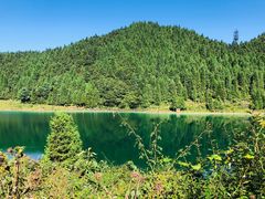 -武陵山森林公园