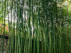 -竹泉村旅游度假区