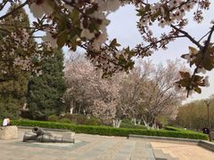 -元大都城垣遗址公园