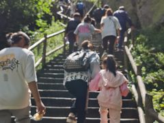 -茅兰沟国家森林公园