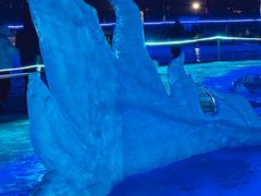 -长春市南湖公园