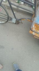 -皇家月府月子中心(沈阳店)