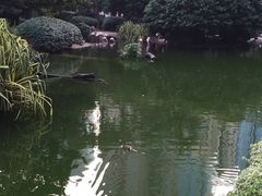 -九龙公园