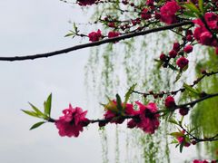 -苏堤停车场