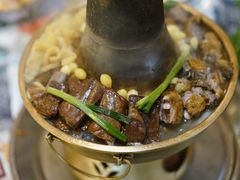 -岳记兴隆·青城腊排铜火锅(融创店)