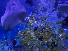 -苏州海洋馆