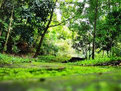 -昆明市金殿名胜区