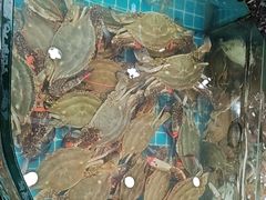 -渔码头食府(蓬莱阁店)
