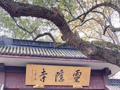 -灵隐飞来峰景区