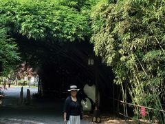 -西苑公园