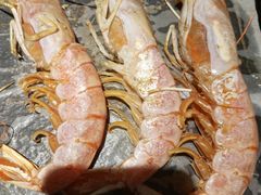 -深海800米海鲜自助(万达广场店)