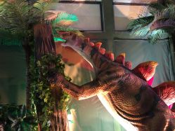 -恐龙探索乐园(磁器口店)