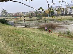 -两河城市森林公园