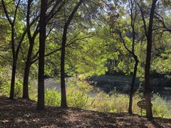 -大兴滨河森林公园