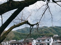 -鹿亭中村