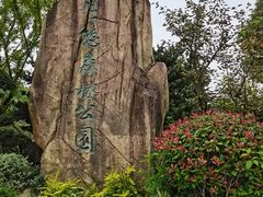 -昆山城市生态森林公园