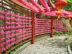 -广州神农草堂中医药博物馆