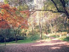 android_upload_pic-府山公园