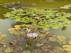 -国家植物园南园