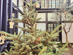 -一尺花园(安和花园店)