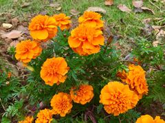 -陶祖圣境风景区