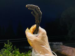 -老号尤兔头(幸福店)